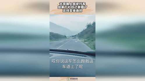 大哥路上骂逆行车，结果下秒自己蒙圈了，这线是谁画的！