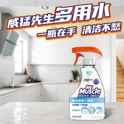 Mr Muscle 威猛先生 油污清洁剂 350g