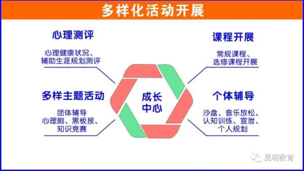 全方位个人成长分析与提升策略报告：涵身心发展、技能提升及生活规划