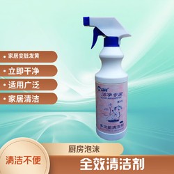 益邦 洁净专家多功能清洁剂厨房油污清洁剂 洁净专家1瓶