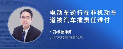 电动车逆行在非机动车道被汽车撞责任谁付