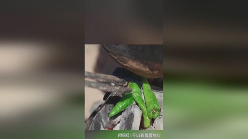 “舌尖美味，欢乐加倍” 我为重庆美食扛大旗 渝味360碗