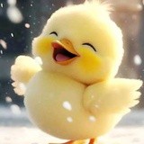 丸子不玩
