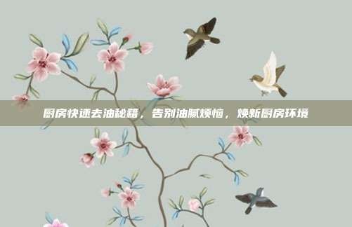 厨房快速去油秘籍,告别油腻烦恼,焕新厨房环境