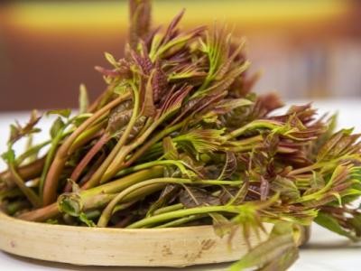 香椿不可以和什么一起吃 谷雨季节吃什么菜