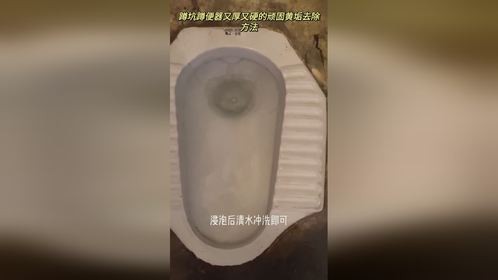 蹲便器蹲坑沉水弯内又厚又坚硬的黄垢尿垢清洗去除技巧！