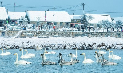 走，一起去“村”游