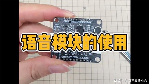 语音识别模块的使用