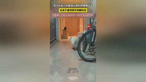 女子叫自己的猫跑过来的时候愣住了，毛孩子居然同手同脚的走