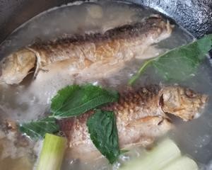 儿童营养餐-鲫鱼豆腐汤的做法 步骤2