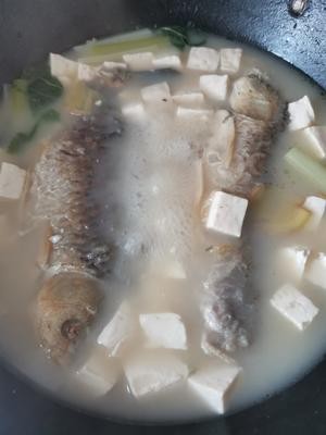 儿童营养餐-鲫鱼豆腐汤的做法 步骤5