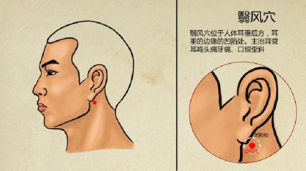养生看素食 这些多吃有益身体健康