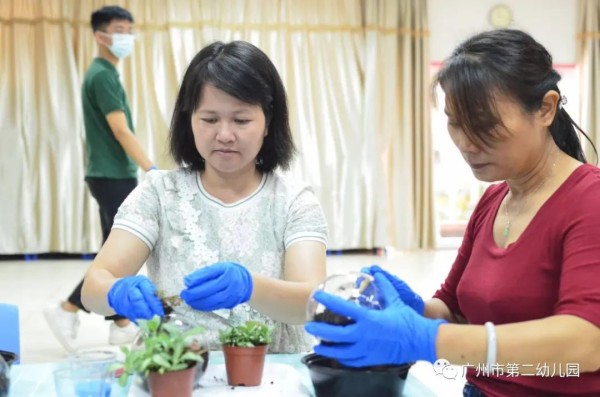 让植物住进生活——记广州市第二幼儿园工会庆祝教师节微景观DIY活动-幼师课件网第8张图片