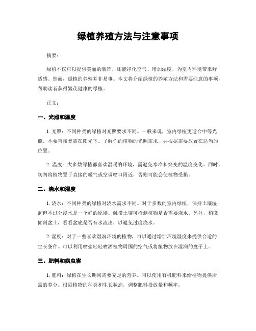 绿植养殖方法与注意事项