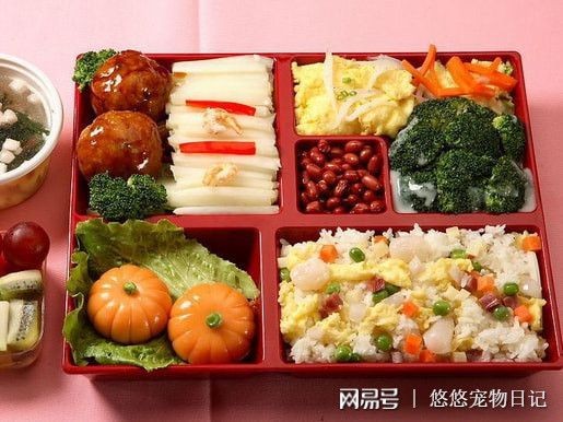 无糖食品加盟，打造健康饮食新风尚