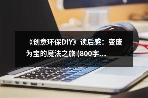 《创意环保DIY》读后感：变废为宝的魔法之旅 (800字)