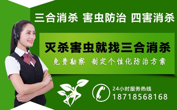 深圳杀虫公司