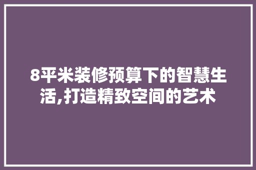 8平米装修预算下的智慧生活,打造精致空间的艺术 装饰设计