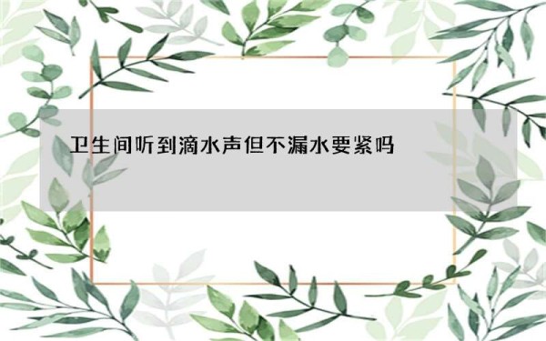 卫生间听到滴水声但不漏水要紧吗