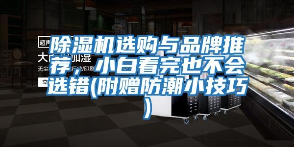 除湿机选购与品牌推荐，小白看完也不会选错(附赠防潮小技巧)