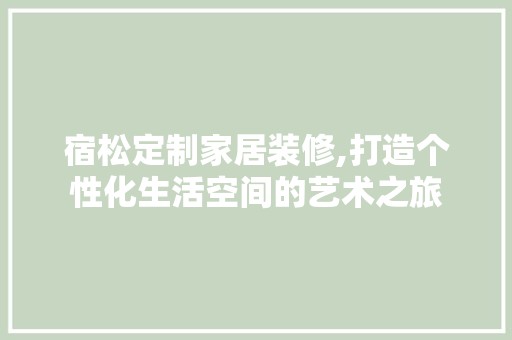 宿松定制家居装修,打造个性化生活空间的艺术之旅 装修工程