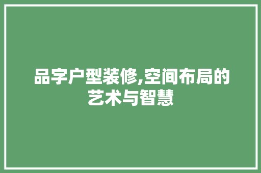 品字户型装修,空间布局的艺术与智慧 装饰设计