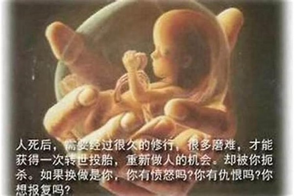 家中布局风水讲究