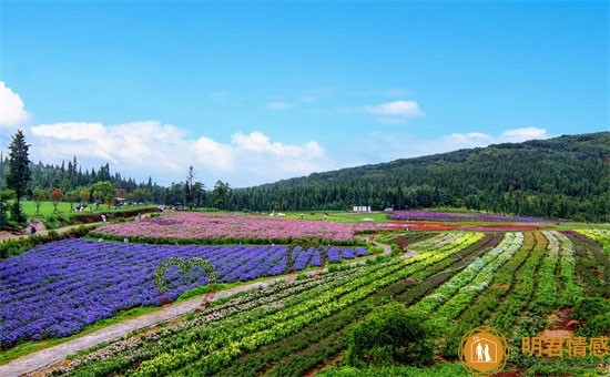 如何调节自己的负面情绪?