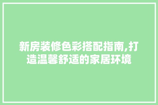 新房装修色彩搭配指南,打造温馨舒适的家居环境 室内设计