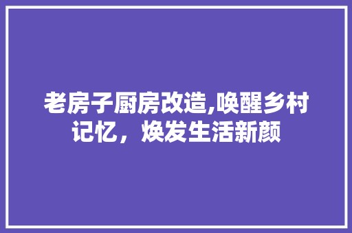 老房子厨房改造,唤醒乡村记忆，焕发生活新颜 地面材料