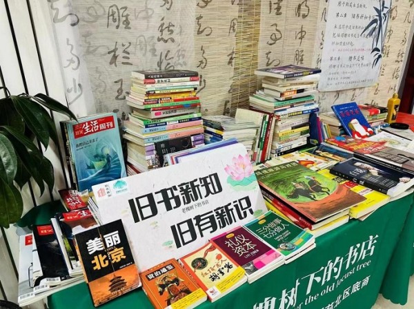 一家开在老槐树下的书店 | 旧书流转新篇章