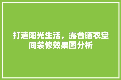 打造阳光生活，露台晒衣空间装修效果图分析 装饰材料