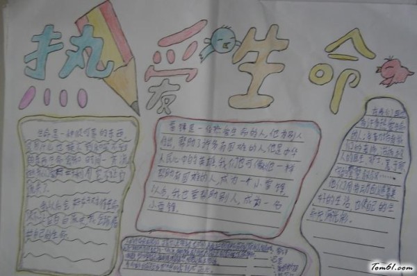 小学生热爱生命手抄报图片小学生手抄报