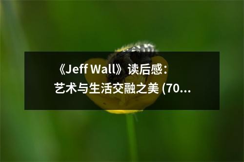 《Jeff Wall》读后感：艺术与生活交融之美 (700字)