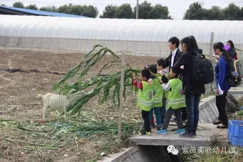 写给爸爸妈妈——家庭安全教育之二-幼师课件网第3张图片