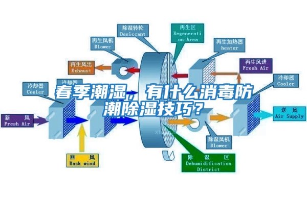 春季潮湿，有什么消毒防潮除湿技巧？