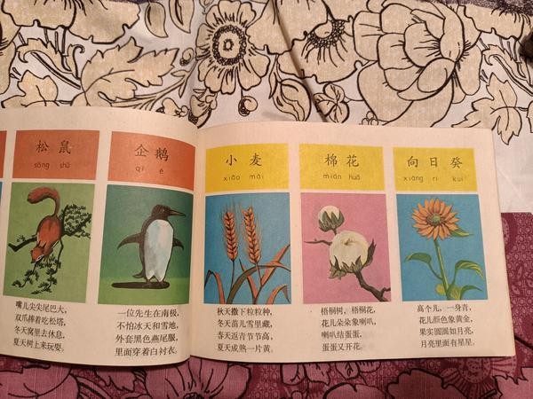 如何DIY桌面卤素吊灯？-有驾