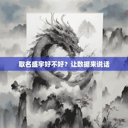  取名盛宇好不好？让数据来说话 