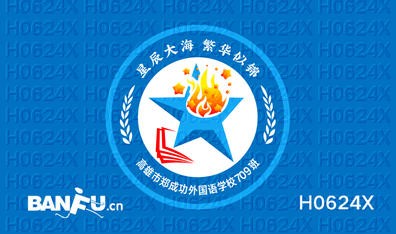 七年级9班星火中队班徽logo图案设计