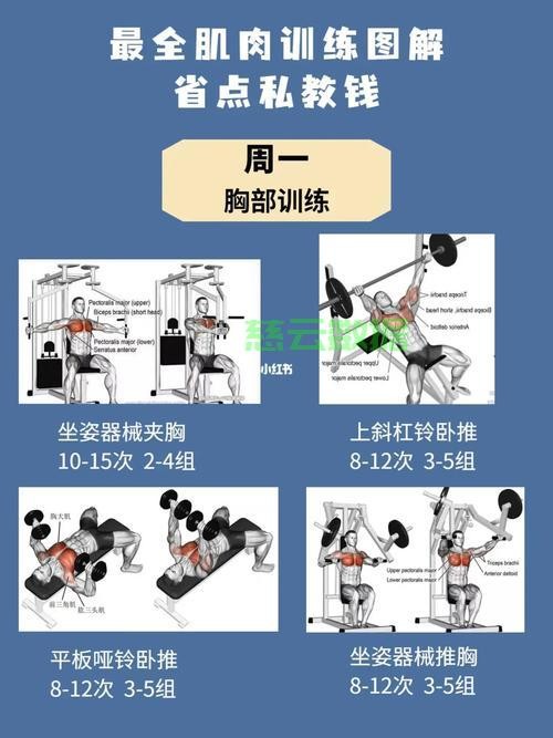 终极肌肉锻炼秘籍，塑造完美线条的终极指南！ 第1张