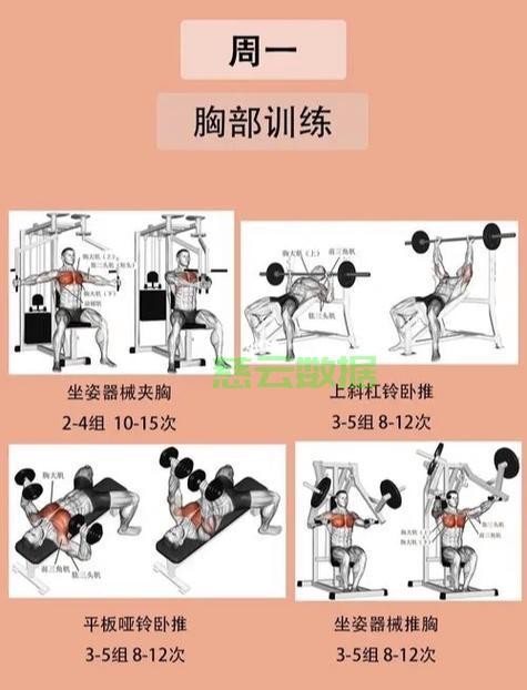 终极肌肉锻炼秘籍，塑造完美线条的终极指南！ 第2张