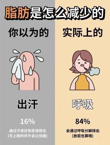 脂肪是怎么减掉的❗️