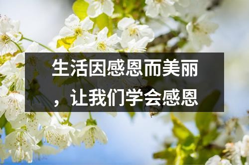 生活因感恩而美丽，让我们学会感恩