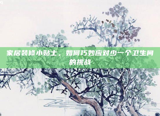 家居装修小贴士,如何巧妙应对少一个卫生间的挑战