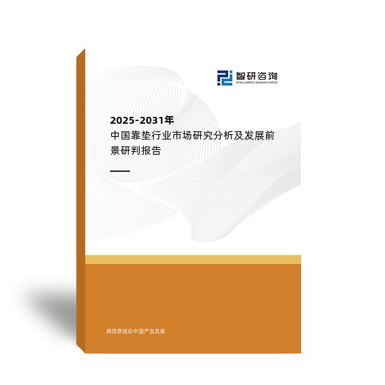 2025-2031年中国靠垫行业市场研究分析及发展前景研判报告