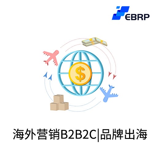 EBRP-Lite-海外B2B2C营销