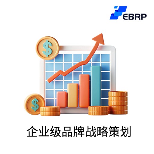 EBRP-Pro-企业级品牌战略策划