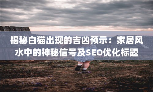 2揭秘白猫出现的吉凶预示：家居风水中的神秘信号及SEO优化标题