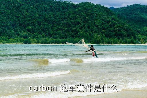 carbon 跑车套件是什么