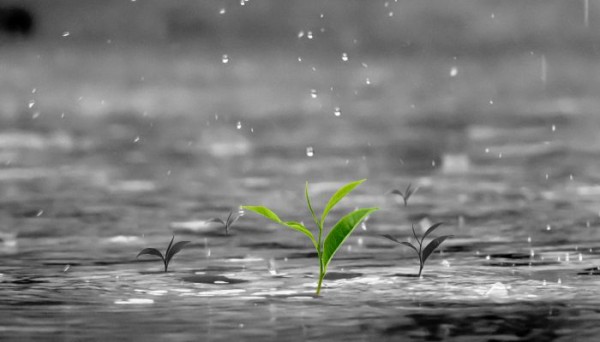 梅雨季节怎么除湿防潮 梅雨季节如何除湿防霉